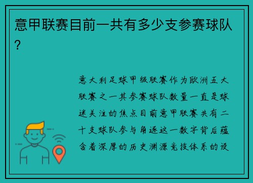 意甲联赛目前一共有多少支参赛球队？